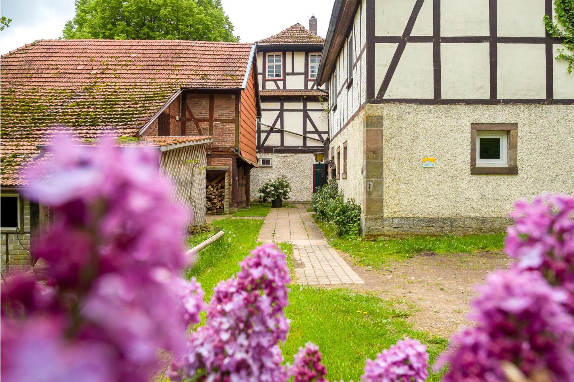 Forsthaus Halbemark Bad Sooden-Allendorf Εξωτερικό φωτογραφία